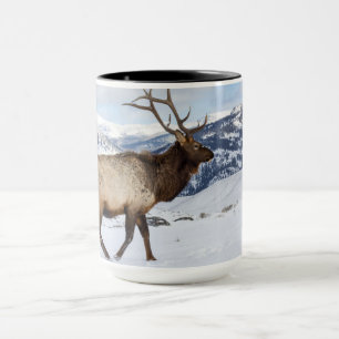 Lone Bull Elk   Yellowstone National Park Mug