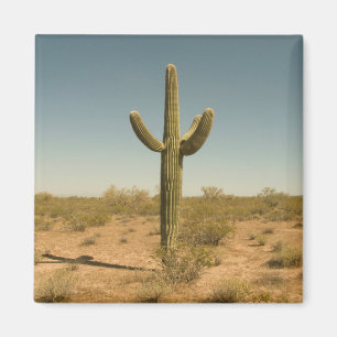 Lone Cactus Magnet
