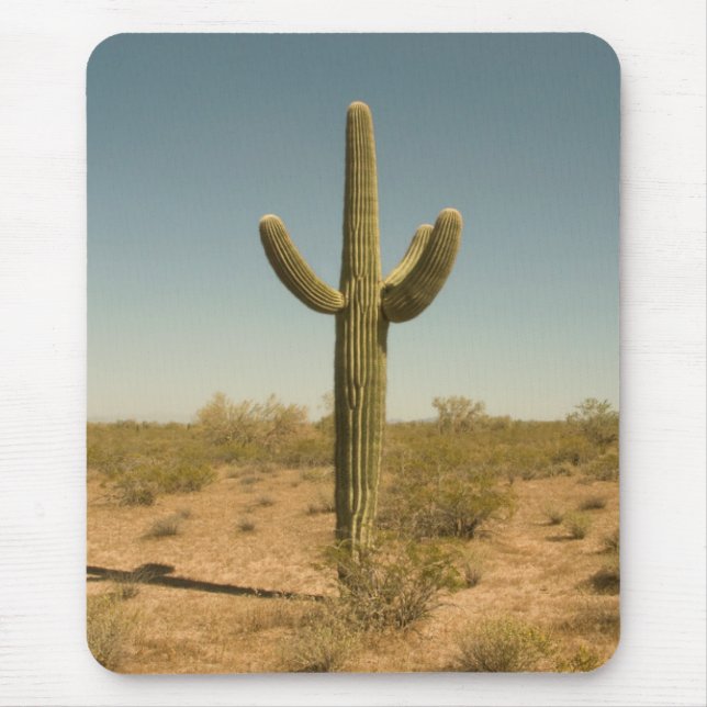 Lone Cactus Mouse Mat (Front)