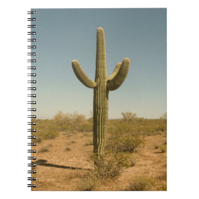 Lone Cactus Notebook (Front)