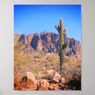 Lone Cactus Poster