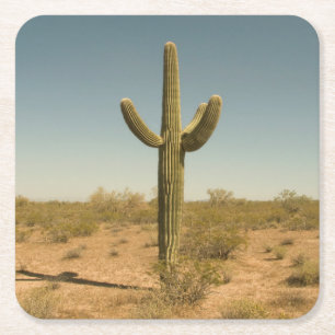 Lone Cactus Square Paper Coaster