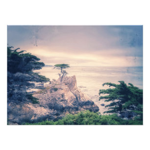Lone Cypress Photo Print