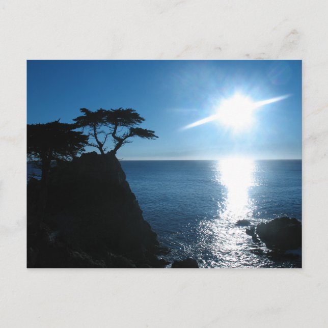 Lone Cypress Postcard (Front)