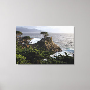 Lone Cypress - stretched canvas print