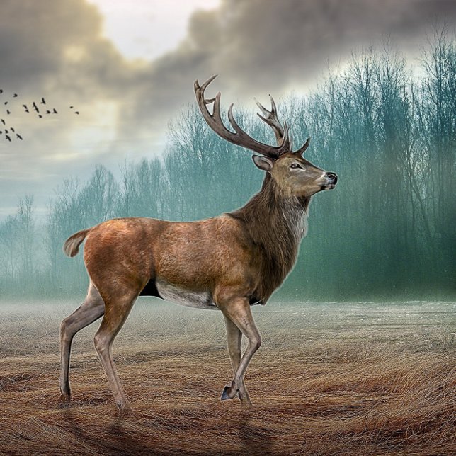Lone Deer In Misty Forest    Cushion (Creator Uploaded)