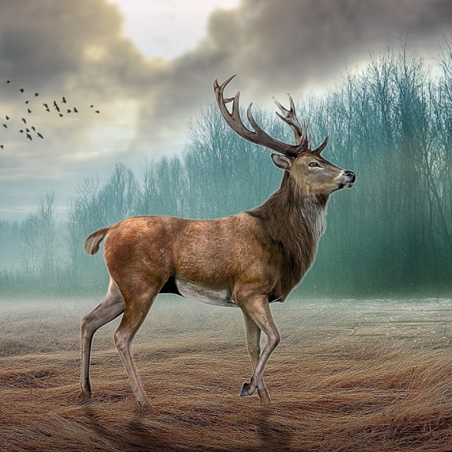 Lone Deer In Misty Forest Jigsaw Puzzle (Creator Uploaded)
