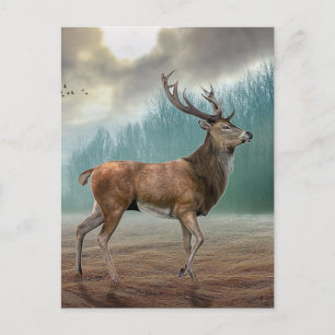 Lone Deer In Misty Forest Postcard