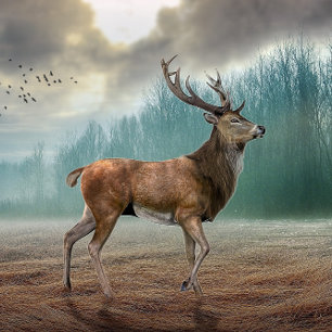 Lone Deer In Misty Forest Tile