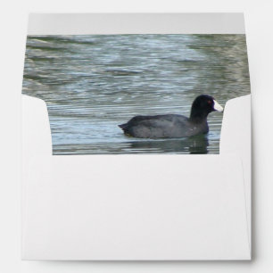 Lone Duck II Envelopes