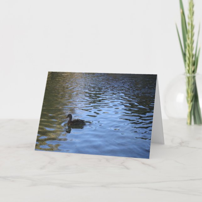 Lone Duck Note Card - Blank Inside (Front)