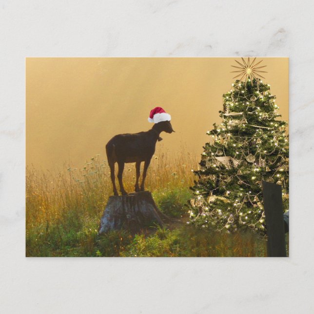 Lone Goat Marvels At Christmas Tree Holiday Postcard (Front)