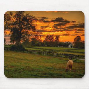 Lone horse at sunset mouse mat