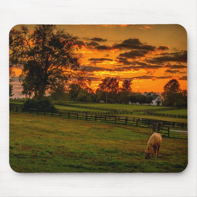 Lone horse at sunset mouse mat (Front)