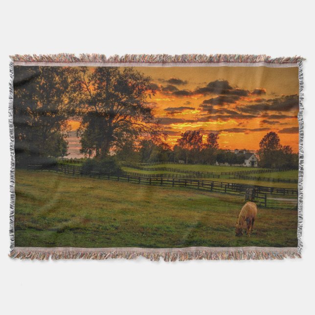 Lone horse at sunset throw blanket (Front)