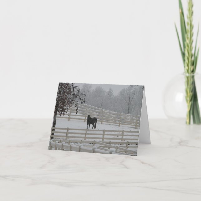 Lone Horse Holiday Card (Front)