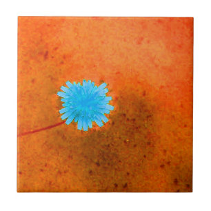 Lone Light Blue Flower Tile