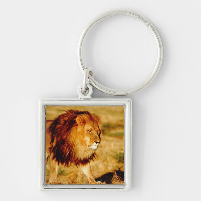 Lone Lion Key Ring (Front)