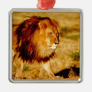 Lone Lion Metal Tree Decoration