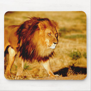 Lone Lion Mouse Mat