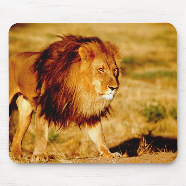 Lone Lion Mouse Mat (Front)