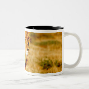 Lone Lion Two-Tone Coffee Mug