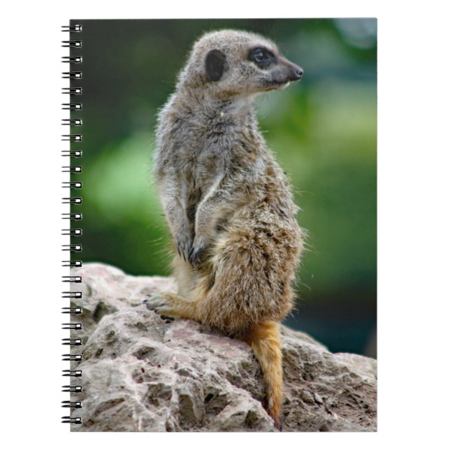 Lone Meerkat Notebook (Front)