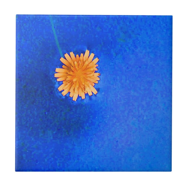 Lone Orange Flower Tile (Front)