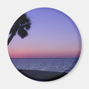 Lone Palm In Purple Magnet