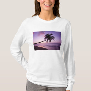 Lone palm tree at sunset, Coconut Grove beach 2 T-Shirt