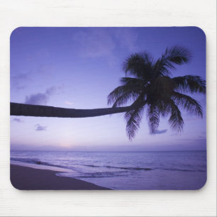 Lone palm tree at sunset, Coconut Grove beach 3 Mouse Mat