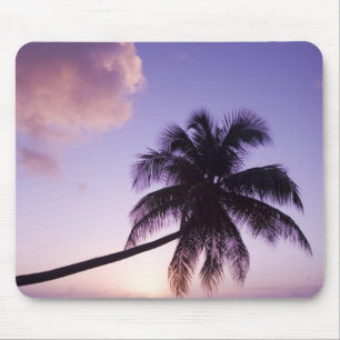 Lone palm tree at sunset, Coconut Grove beach Mouse Mat