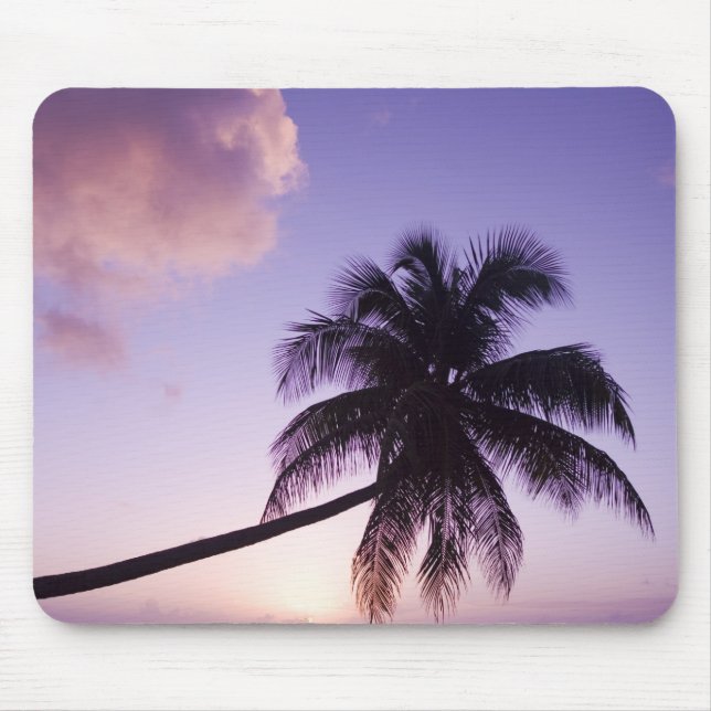 Lone palm tree at sunset, Coconut Grove beach Mouse Mat (Front)