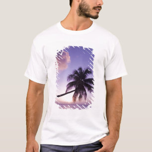 Lone palm tree at sunset, Coconut Grove beach T-Shirt