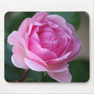 Lone Pink Rose Mousepad