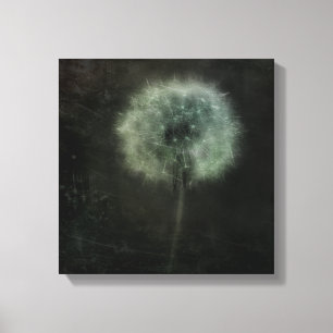 Lone Pretty Dandelion Canvas Print