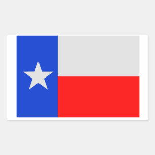 Lone Star Texas Flag Rectangular Sticker