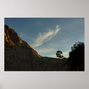 Lone Torrey Pine California Sunset Landscape Poster