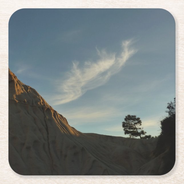 Lone Torrey Pine California Sunset Landscape Square Paper Coaster (Front)