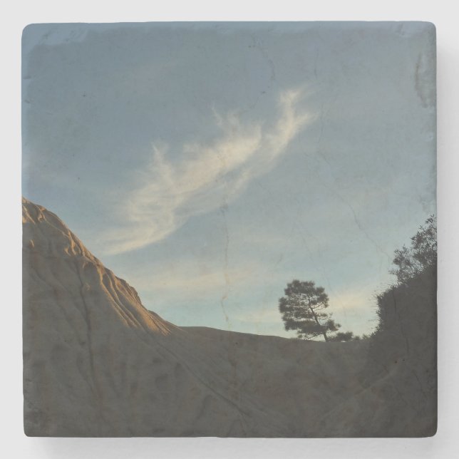 Lone Torrey Pine California Sunset Landscape Stone Coaster (Front)