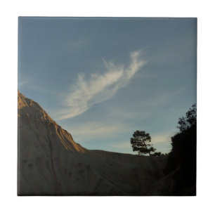 Lone Torrey Pine California Sunset Landscape Tile