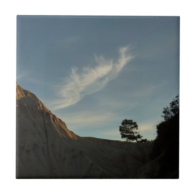 Lone Torrey Pine California Sunset Landscape Tile (Front)