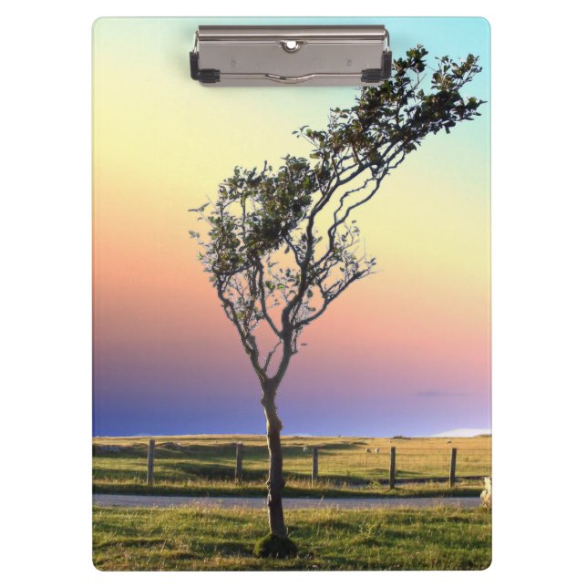 LONE TREE   CLIPBOARD (Front)