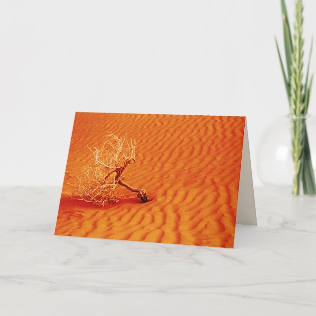Lone Tree in Fiery Red Desert Sand, Blank Inside Card (Front)