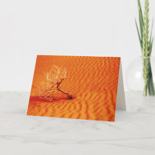 Lone Tree in Fiery Red Desert Sand, Blank Inside Card