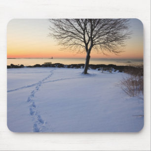 Lone tree in fresh snow at New Castle Common Mouse Mat