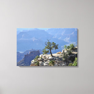 Lone tree in Grand Canyon wrapped canvas print