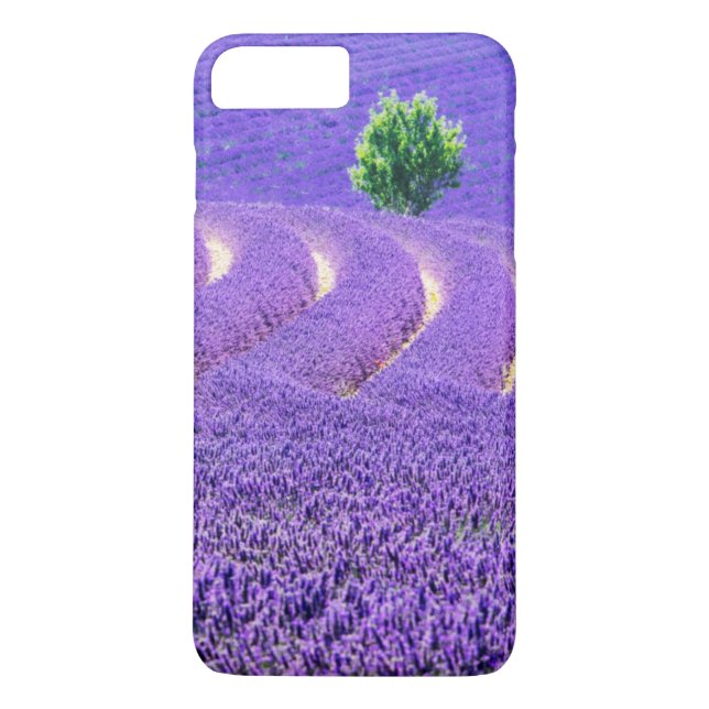 Lone tree in Lavender Field, France Case-Mate iPhone Case (Back)