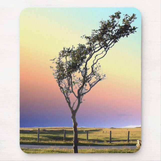 LONE TREE   MOUSE MAT (Front)