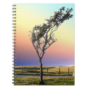 LONE TREE NOTEBOOK